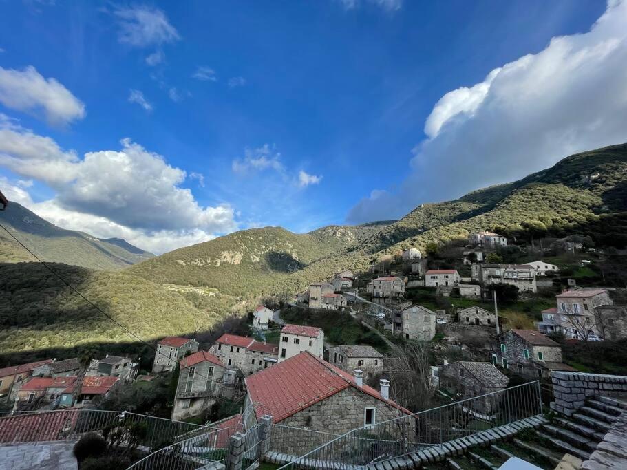 Casa Arena Authentique Maison De Village Avec Piscine Au Coeur De L'Alta Rocca - Zoza Dış mekan fotoğraf