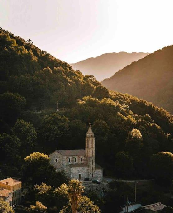 Casa Arena Authentique Maison De Village Avec Piscine Au Coeur De L'Alta Rocca - Zoza Dış mekan fotoğraf
