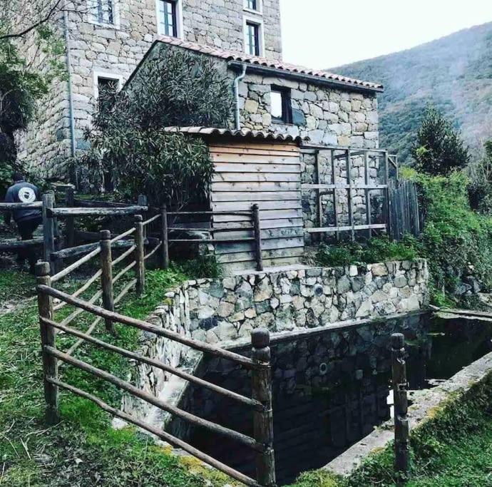 Casa Arena Authentique Maison De Village Avec Piscine Au Coeur De L'Alta Rocca - Zoza Dış mekan fotoğraf