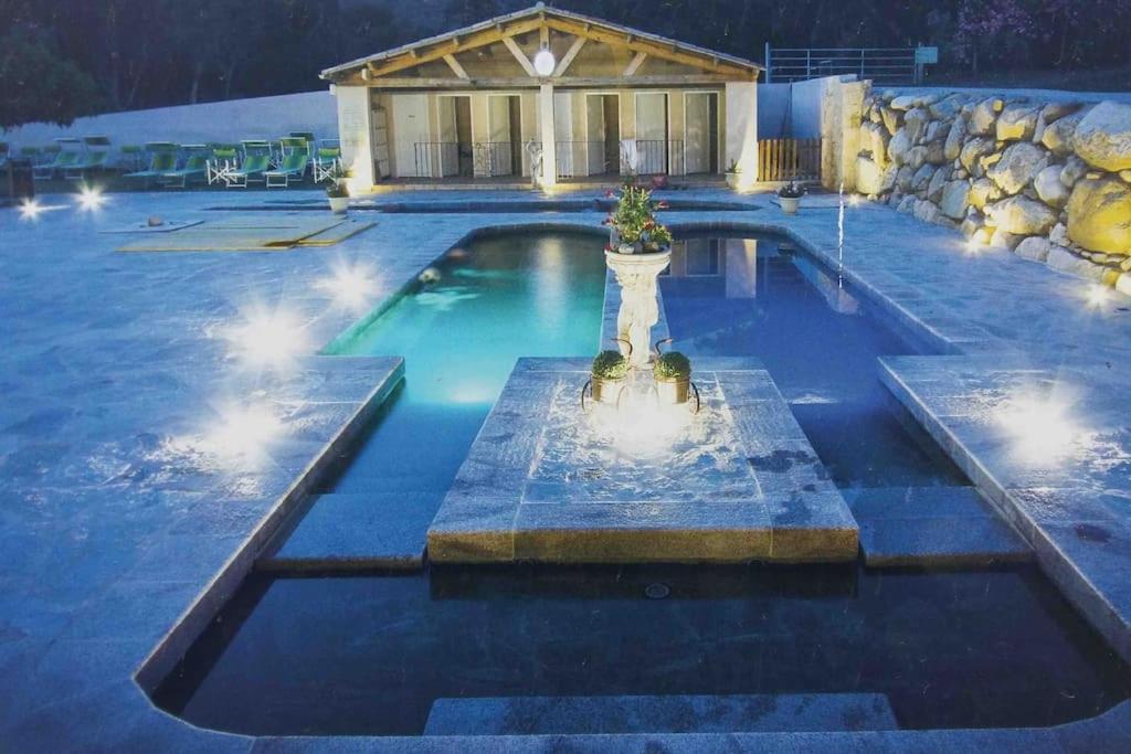 Casa Arena Authentique Maison De Village Avec Piscine Au Coeur De L'Alta Rocca - Zoza Dış mekan fotoğraf
