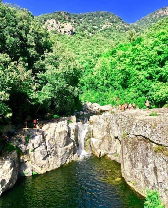Casa Arena Authentique Maison De Village Avec Piscine Au Coeur De L'Alta Rocca - Zoza Dış mekan fotoğraf