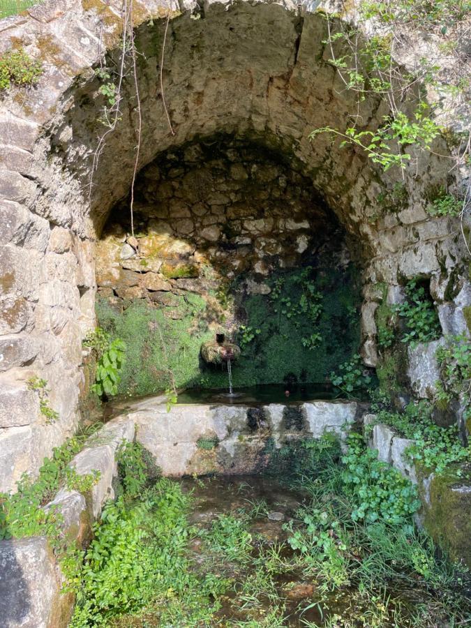 Casa Arena Authentique Maison De Village Avec Piscine Au Coeur De L'Alta Rocca - Zoza Dış mekan fotoğraf