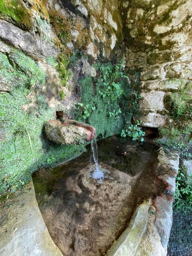 Casa Arena Authentique Maison De Village Avec Piscine Au Coeur De L'Alta Rocca - Zoza Dış mekan fotoğraf