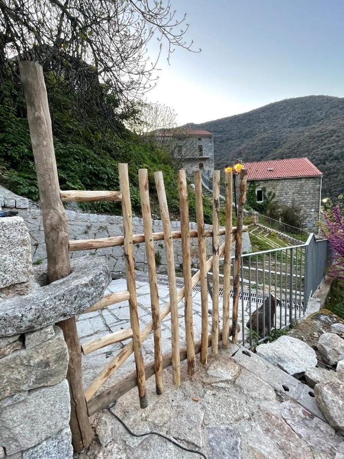 Casa Arena Authentique Maison De Village Avec Piscine Au Coeur De L'Alta Rocca - Zoza Dış mekan fotoğraf