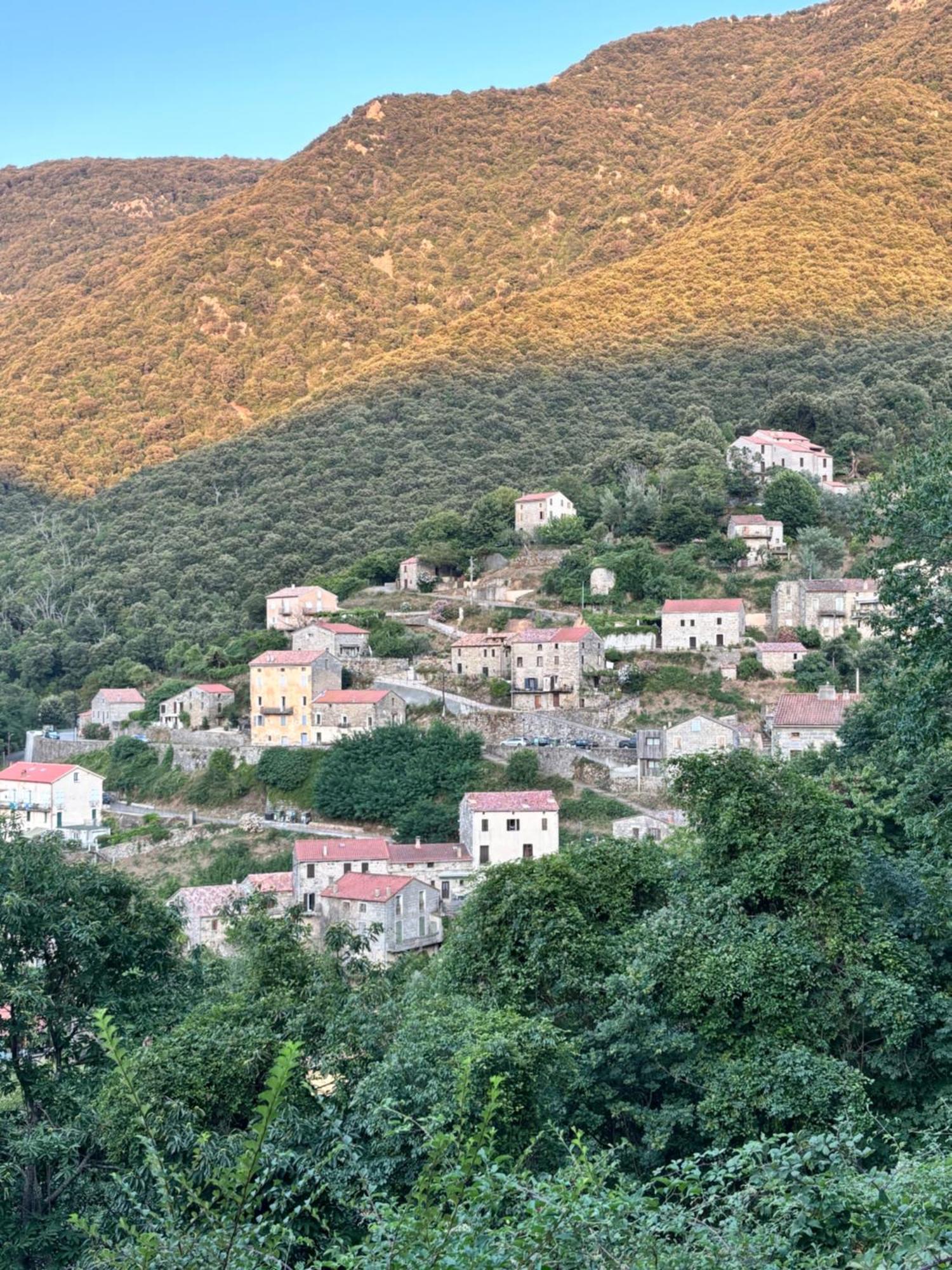 Casa Arena Authentique Maison De Village Avec Piscine Au Coeur De L'Alta Rocca - Zoza Dış mekan fotoğraf